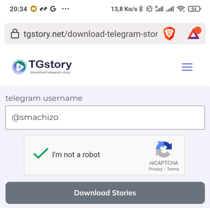 TGStory-NET Comment Télécharger les Stories Telegram sur iPhone, Android & PC